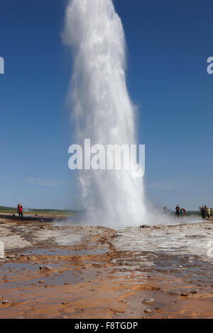 Geysir Strokkur gegen blauen Sommerhimmel, ausbrechenden Heißwasser und Dampf. Island Stockfoto