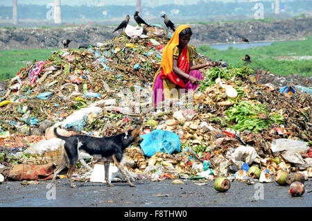 Dhaka, Bangladesch. 11. Dezember 2015. Ein Bangladeshi weibliche Abfall Picker nimmt die nicht biologisch abbaubare Abfälle für die Recyclingindustrie in Abfall Dump Hof in Savar in der Nähe von Dhaka verwendet werden. Bangladesch. Am 11. Dezember 2015 Menschen waste Pickers wählen Sie nicht biologisch abbaubare Abfälle verwendet werden, für die Recyclingindustrie in Abfall Dump Hof in Savar in der Nähe von Dhaka. Bangladesch. Am 11. Dezember 2015-Credit: Mamunur Rashid/Alamy Live-Nachrichten Stockfoto