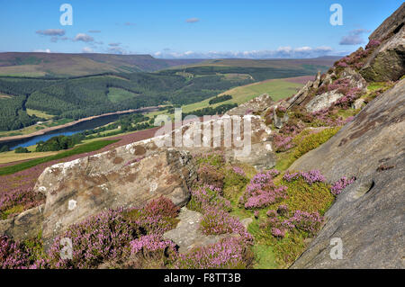 Blick von den Felsen am Derwent Rand im Peak District an einem sonnigen Sommertag. Stockfoto