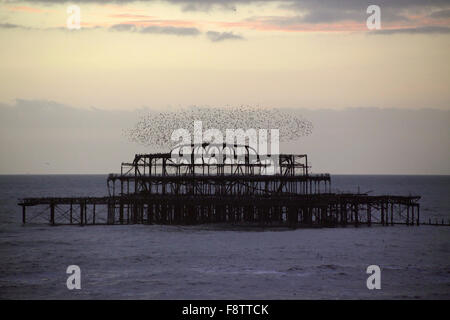 Alte West Pier von Brighton mit Stare fliegen. UK, England. Stockfoto