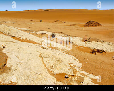 Kleine Orange gefärbt, Dünen und Fragmente der weiße Oberfläche des trockenen Namib Wüste in Namibia in der Nähe von Swakopmund Stadt Atlantic OC Stockfoto