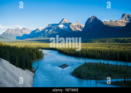 Athabasca River, Jasper Nationalpark, Alberta, Kanada Stockfoto