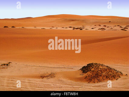 Kleinen roten Dünen der trockene Namib Wüste in Namibia in der Nähe von Swakopmund Stadt an der Atlantik-Küste, Südafrika Stockfoto