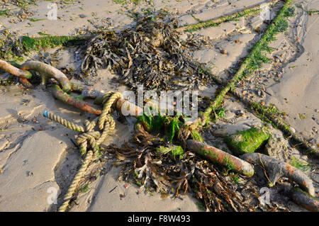 Rostige Ketten und Seile Festmachen im Hafen, St Marys Scilly-inseln, Cornwall, Großbritannien Stockfoto