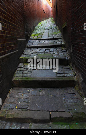 Grünes Moos, überdacht, Stadttreppen, Yorker Stein, Platten, Sets, uraltes Recht der Passage, durch die Altstadt, Mauern, Schatten vor Licht, Hinterpassage, schnickschnack Stockfoto