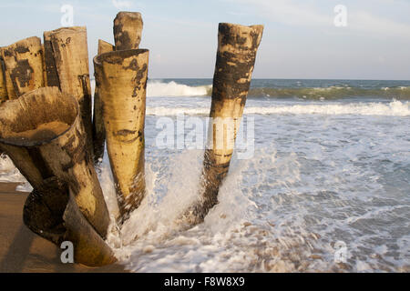 Baum-Stämme auf Auroville Strand errichtet Stockfoto