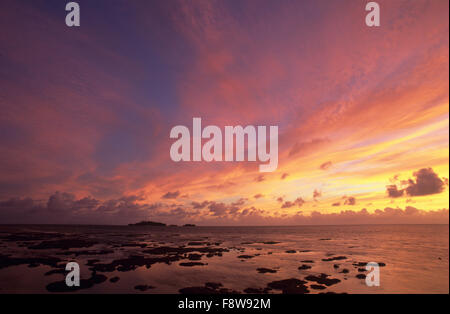 Fidschi-Inseln, Viti Levu, Jean-Michel Cousteau Fiji Islands Resort, Sonnenuntergang, oceanscape Stockfoto