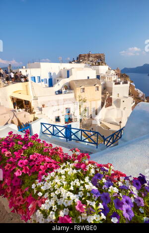 Terrasse mit blühen Blumen, Stadt Oia, Santorin, Kykladen, Griechenland Stockfoto