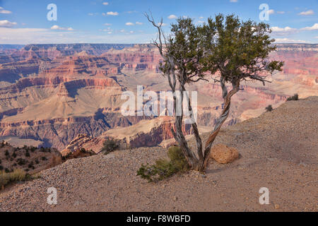 Landschaft des Grand Canyon.Grand Canyon Nationalpark in Arizona; USA; Amerika Stockfoto