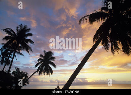 Fidschi-Inseln, Wakaya Island, Wakaya Club, Sonnenuntergang mit Palmen Stockfoto