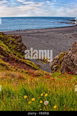 30. Juli 2015 - SnÃ¦fellsnes Halbinsel, Island - ist Bucht und Strand von Djupalonssandur ein beliebtes Touristenziel. An der Südküste der Halbinsel Snaefellsnes in Westisland, unter Klippen mit Lava zerklüfteten Felsformationen unzähligen schwarze Steinen geprägt von Ozean und Windlasten Abdeckung Strand. © Arnold Drapkin/ZUMA Draht/Alamy Live-Nachrichten Stockfoto