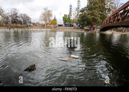 San Bernardino, Kalifornien, USA. 11. Dezember 2015. Ein FBI-Dive-Team-Mitglied führt eine Suche bei selbst Lake Park in San Bernardino, Kalifornien, den Vereinigten Staaten am 11. Dezember 2015. Das FBI sagte führt anzugeben, dass die schützen getötet 14 Personen im Inland Regional Center dieser Gegend gewesen war. Bildnachweis: Zhao Hanrong/Xinhua/Alamy Live-Nachrichten Stockfoto