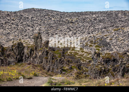 30. Juli 2015 - SnÃ¦fellsnes Halbinsel, Island - A Landschaft mit einzigartigen Formen des großen Lava zerklüfteten Felsformationen auf den schroffen Felsen oberhalb der bekannte Strand und die Bucht von Djupalonssandur an der Südküste der Halbinsel Snaefellsnes in Westisland ist ein beliebtes Touristenziel geworden. © Arnold Drapkin/ZUMA Draht/Alamy Live-Nachrichten Stockfoto