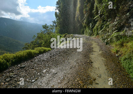 Tod Road, Camino de La muerte, yungas Straße zwischen La Paz und coroico, Bolivien Stockfoto