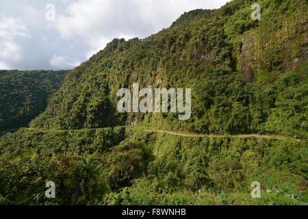 Tod Straße windet sich durch die subtropischen Regenwald, Camino de La muerte, yungas Straße zwischen La Paz und coroico, Bolivien Stockfoto