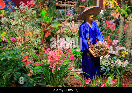 82. Zitronenfest Fête du Citron, Orchideenausstellung im Palais d ' Europe, Menton, Alpes-Maritimes Abteilung, Côte d ' Azur Stockfoto