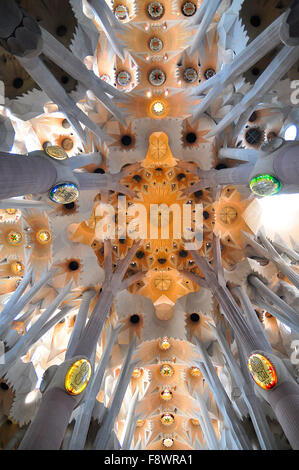 Decke in der Sagrada Familia, Barcelona, Katalonien, Spanien Stockfoto