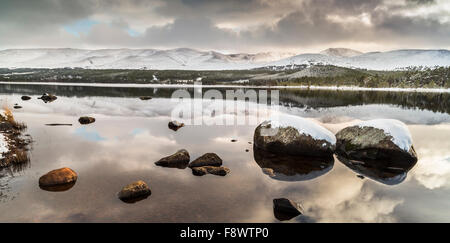 Loch Morlich Winter im Cairngorms National Park von Schottland. Stockfoto