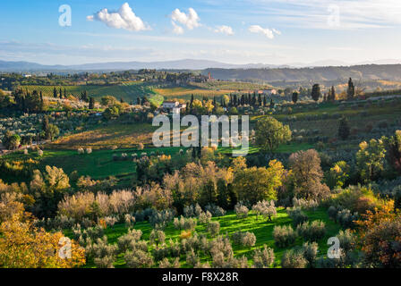 Toskana-Landschaft in der Nähe von San Gimignano Stockfoto