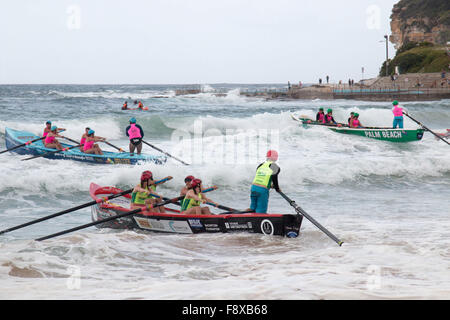 Sydney, Australien. 12. Dezember 2015. Jährliche Ocean Thunder Serie professioneller Surfbootrennen von Dee Why Beach, an denen 24 Elite-Männer-Teams und 12 Elite-Frauen-Teams aus ganz Australien teilnehmen. Kredit: model10/Alamy Live News Stockfoto