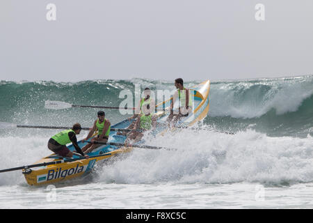 Sydney, Australien. 12. Dezember 2015. Ocean Thunder Annual Surfboat Series von professionellen Surfbootrennen von Dee Why Beach, an denen 24 Elite-Männer-Teams und 12 Elite-Frauen-Teams aus ganz Australien teilnehmen. Kredit: model10/Alamy Live News Stockfoto