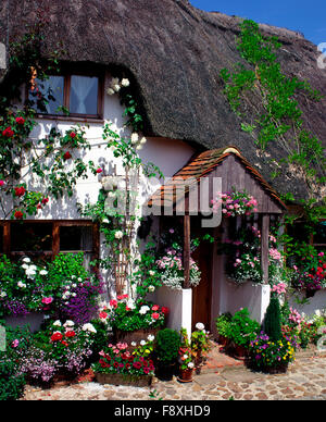 Reetdachhaus in Kent, England, UK Stockfoto
