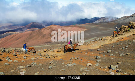 Reiter gehen auf die Sliding Sands Trail im Haleakala National Park Stockfoto