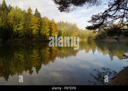 Morgen-Stimmung am See Ebnisee, Rems-Murr-Kreis, Baden-Württemberg, Deutschland Stockfoto