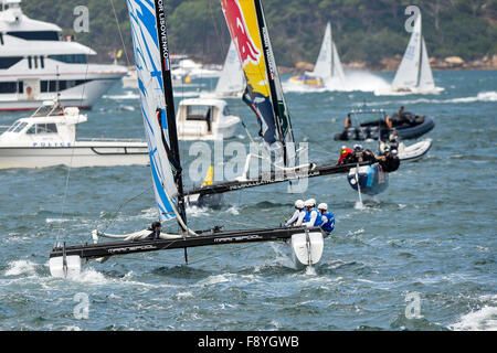 Sydney, Australien. 12. Dezember 2015. 2015 extreme Sailing Series. Extreme 40 Stadionlauf am Hafen von Sydney. Rennen-Aktion auf den Hafen. Bildnachweis: Aktion Plus Sport/Alamy Live-Nachrichten Stockfoto