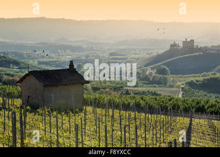 Frühling-Blick auf das Schloss von Grinzane Cavour Unesco-Erbe in das Gebiet der Langhe Piemont Italien, Zugvögel flyi Stockfoto