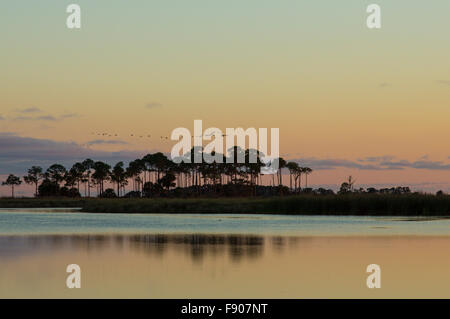 Dämmerung über St. Marks National Wildlife Refuge in Florida Stockfoto