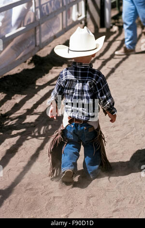 Ein sehr junger Cowboy in einem großen weißen Hut und ausgefallene Rohhaut Chaps Stahlstreben entlang einer staubigen Arena bei den Schwestern Rodeo in Zentral-Oregon, USA. Pint-Sized Cowpoke ist der Sohn eines Sattel Bronc Reiters, der sich in der Jahresveranstaltung des Old West. Stockfoto
