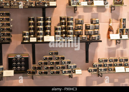 Eine Vielzahl von Gänseleber auf den Verkauf in einem Fachgeschäft, Budapest, Ungarn. Stockfoto