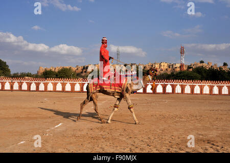 Eine Frau, die Durchführung mit einer Matka auf dem Kopf auf dem Kamel zurück während das Jaisalmer Wüste Festival in Jaisalmer, Rajasthan, Indien. Stockfoto