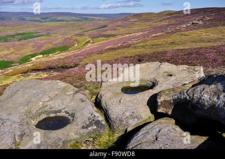 Gritstone Felsen und Moorland in lila blühende Heide bedeckt. Ein sonniger Tag auf den Hügeln des Peak District. Stockfoto