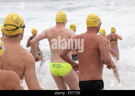 Sydney, Australien. 13. Dezember 2015. Bilgola Beach Schwimmwettlauf über 1,5 km, Teil der jährlichen Pittwater Ocean Swim Serie, Sydney, Australien. Männer und Frauen Rennen zu Beginn des gemischten Rennens in die Brandung ein Mann trägt hellgelbe Budgy-Schmuggler-Badehosen Guthaben: model10/Alamy Live News Stockfoto