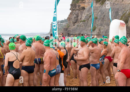 Sydney, Australien. 13. Dezember 2015. Bilgola Strand Meer Schwimmen Rennen über 1,5 Kilometer, Bestandteil der jährlichen Pittwater Ozean schwimmen Serie, Sydney, Australien-Credit: model10/Alamy Live-Nachrichten Stockfoto