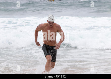 Sydney, Australien. 13. Dezember 2015. Bilgola Strand Meer Schwimmen Rennen über 1,5 Kilometer, Bestandteil der jährlichen Pittwater Ozean schwimmen Serie, Sydney, Australien-Credit: model10/Alamy Live-Nachrichten Stockfoto