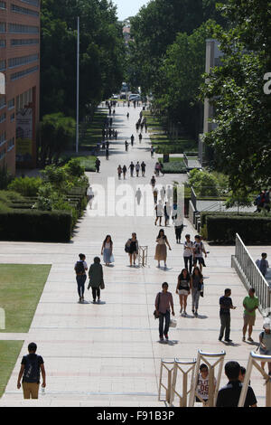 Universität von New South Wales (UNSW) in Kensington, Sydney, Australien. 10. Dezember 2015. Stockfoto