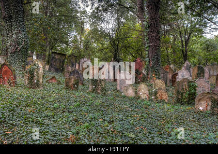 Der alte jüdische Friedhof in Kolin, Tschechische Republik Stockfoto