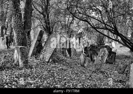 Der alte jüdische Friedhof in Kolin, Tschechische Republik Stockfoto