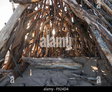 Ein Tierheim gebaut aus Treibholz auf Roker Strand, Sunderland, England, UK Stockfoto