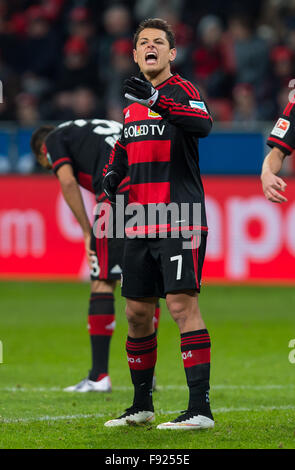 Leverkusen, Deutschland. 12. Dezember 2015. Leverkusens Chicharito reagiert während der Fußball-Bundesliga Spiel Bayer Leverkusen Vs Borussia Moenchengladbach in Leverkusen, Deutschland, 12. Dezember 2015. Foto: Guido Kirchner/Dpa/Alamy Live News Stockfoto