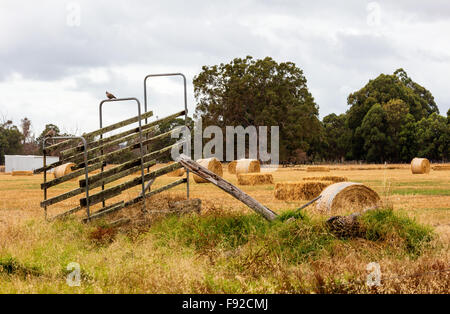 Klassische australische vernachlässigte landwirtschaftliche region Stockfoto