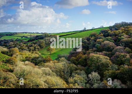 Späten Herbst Landschaft mit schönen bunten ländliche Landschaft, Ackerland und Wald, blauer Himmel, weiße Wolken, an einem sonnigen Tag. Stockfoto