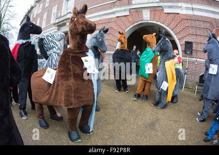 London, UK. 13. Dezember 2015. Das London-Pantomime-Pferderennen, findet jetzt im 6. Jahr in Greenwich um Geld für das Demelza Hospiz für Kinder statt. Bildnachweis: Bas/Alamy Live-Nachrichten Stockfoto