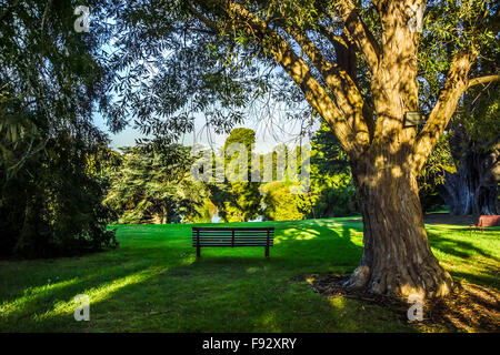 Arid Garten, Sammlung von Kakteen im Royal Botanic Gardens, Melbourne, Australien Stockfoto