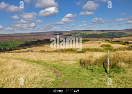 Wanderweg Richtungszeichen neben einem grasbewachsenen Weg auf den Hügeln über dem Derwent Tal im Peak District, Derbyshire. Stockfoto