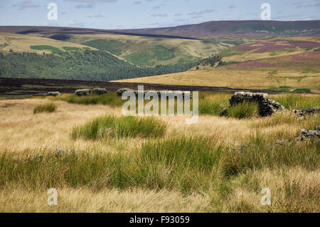 Eine Moorlandschaft an einem sonnigen Sommertag auf den Hügeln über dem Derwent Tal im Peak District, Derbyshire. Stockfoto