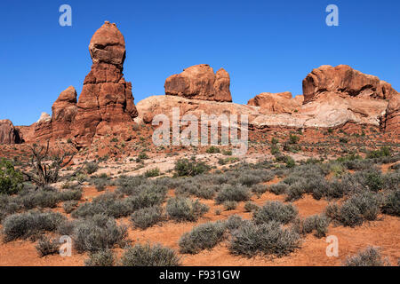 Rock Pinnacles, Arches-Nationalpark, Moab, Utah, USA Stockfoto